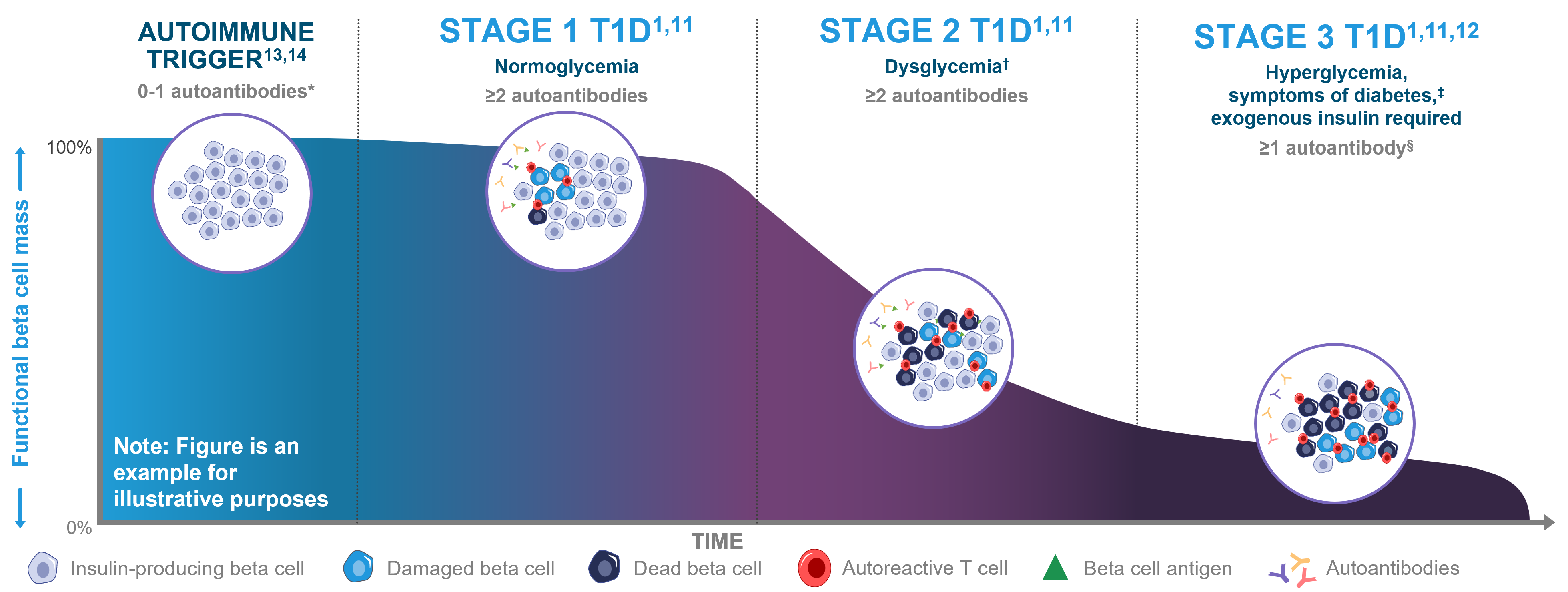 stage-progression of aT1D