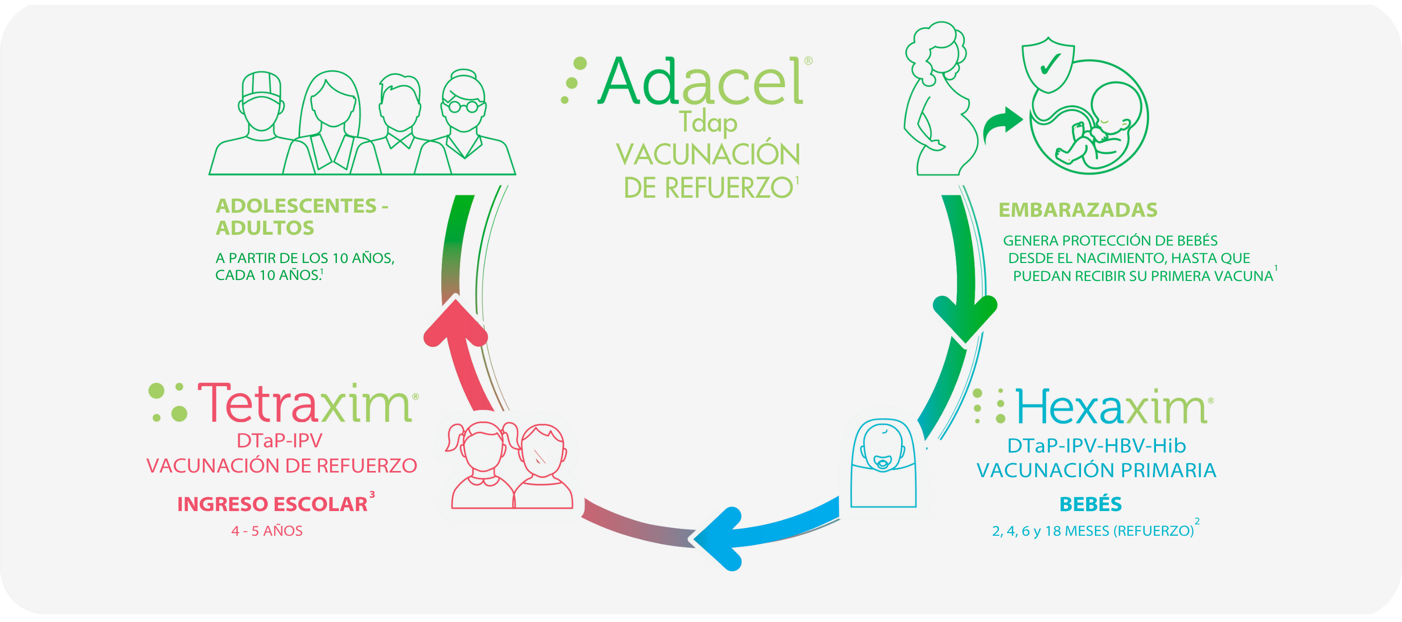 Adacel Tdap y el ciclo de Vacunación de Refuerzo