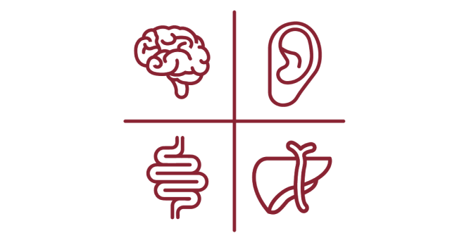 Icon of multiple organs including brain, ear, intestines, and liver.