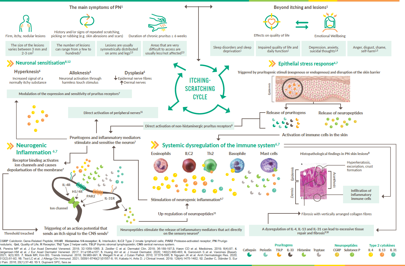 infographic