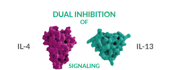 Dual-inhibition