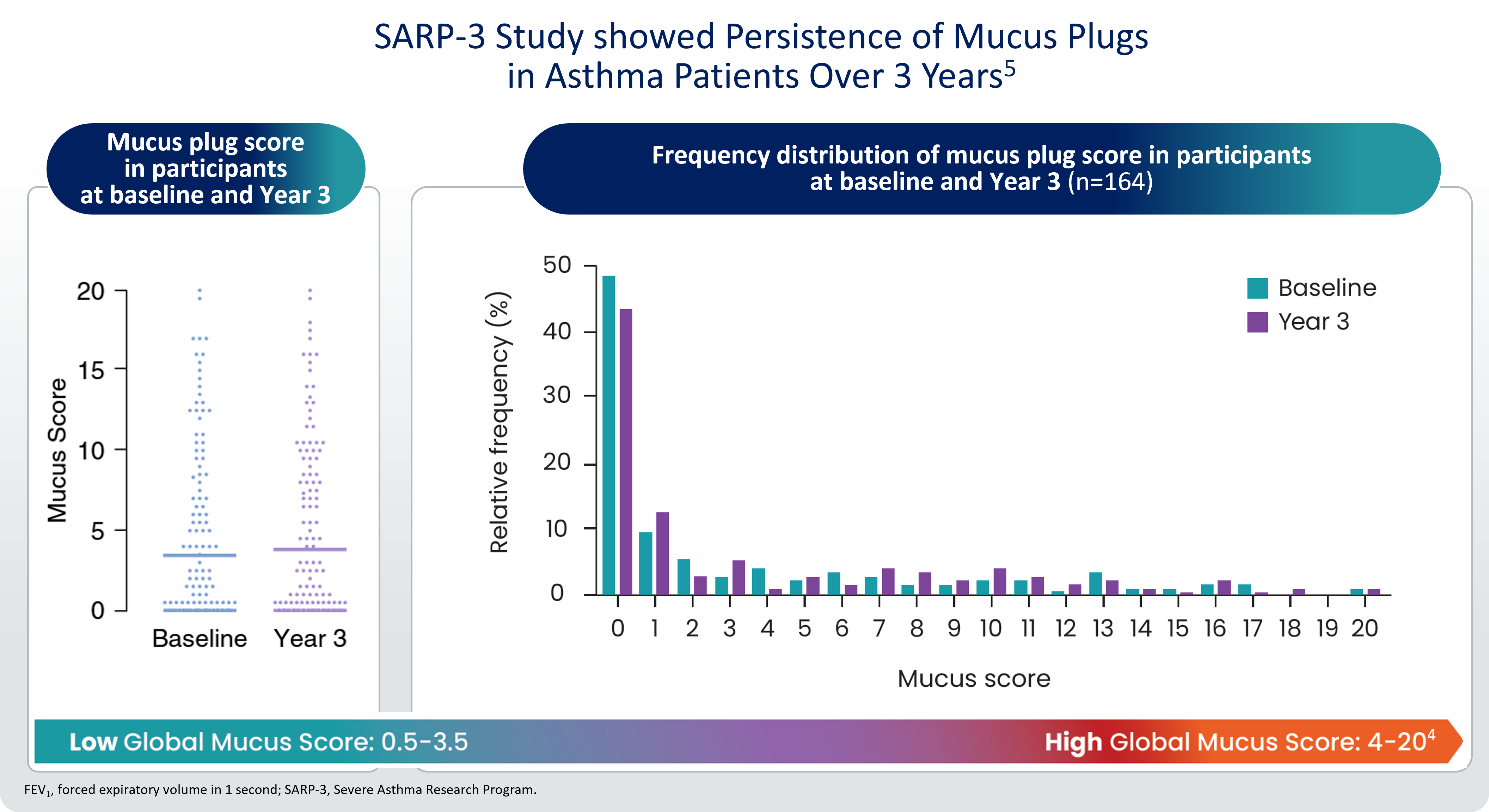 Persistence of mucus plugs