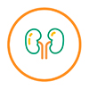 safety-kidney-icon