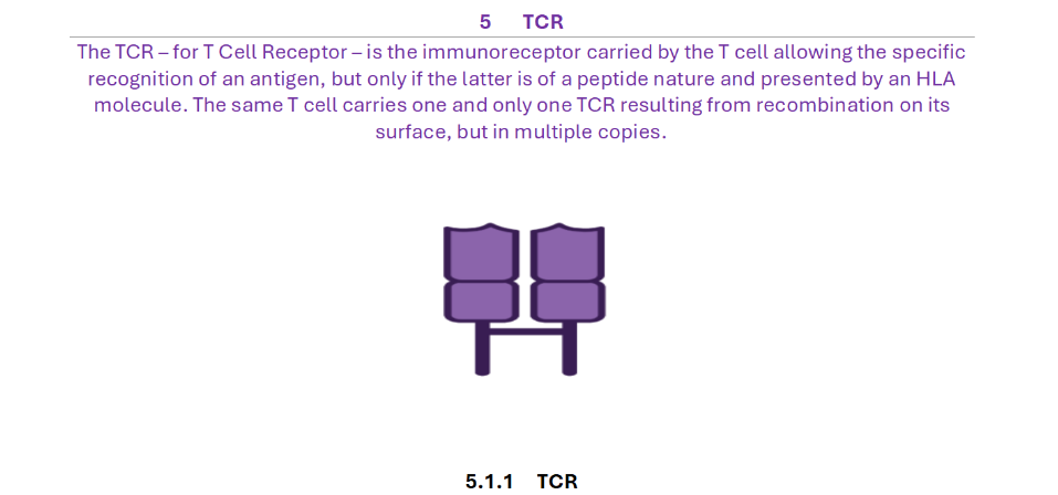 TCR