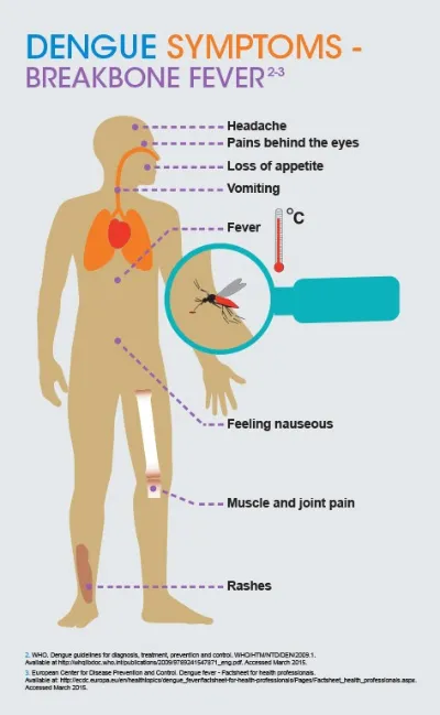 Dengue symptoms