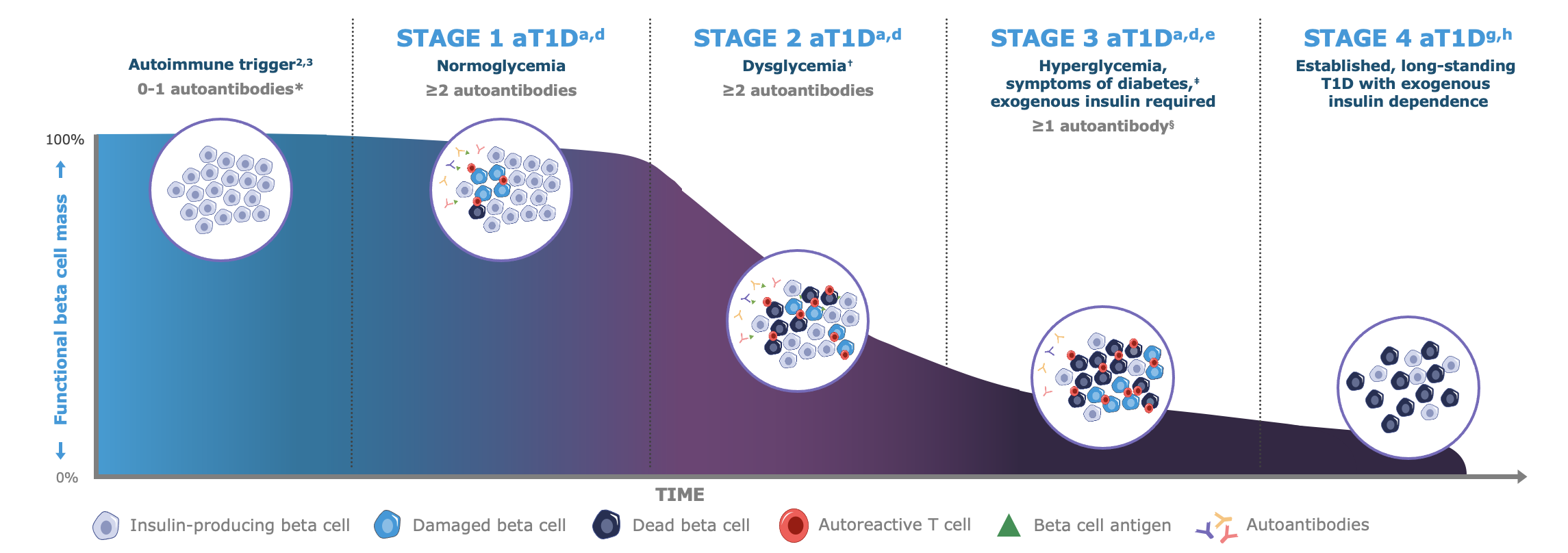 stage-progression of aT1D