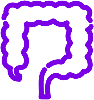 GI Tract