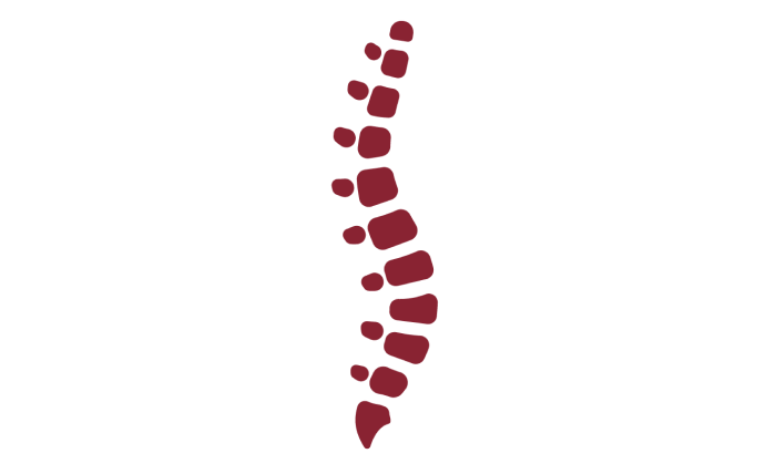 Icon of a curved spine.