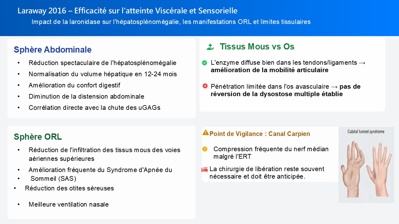 slide19