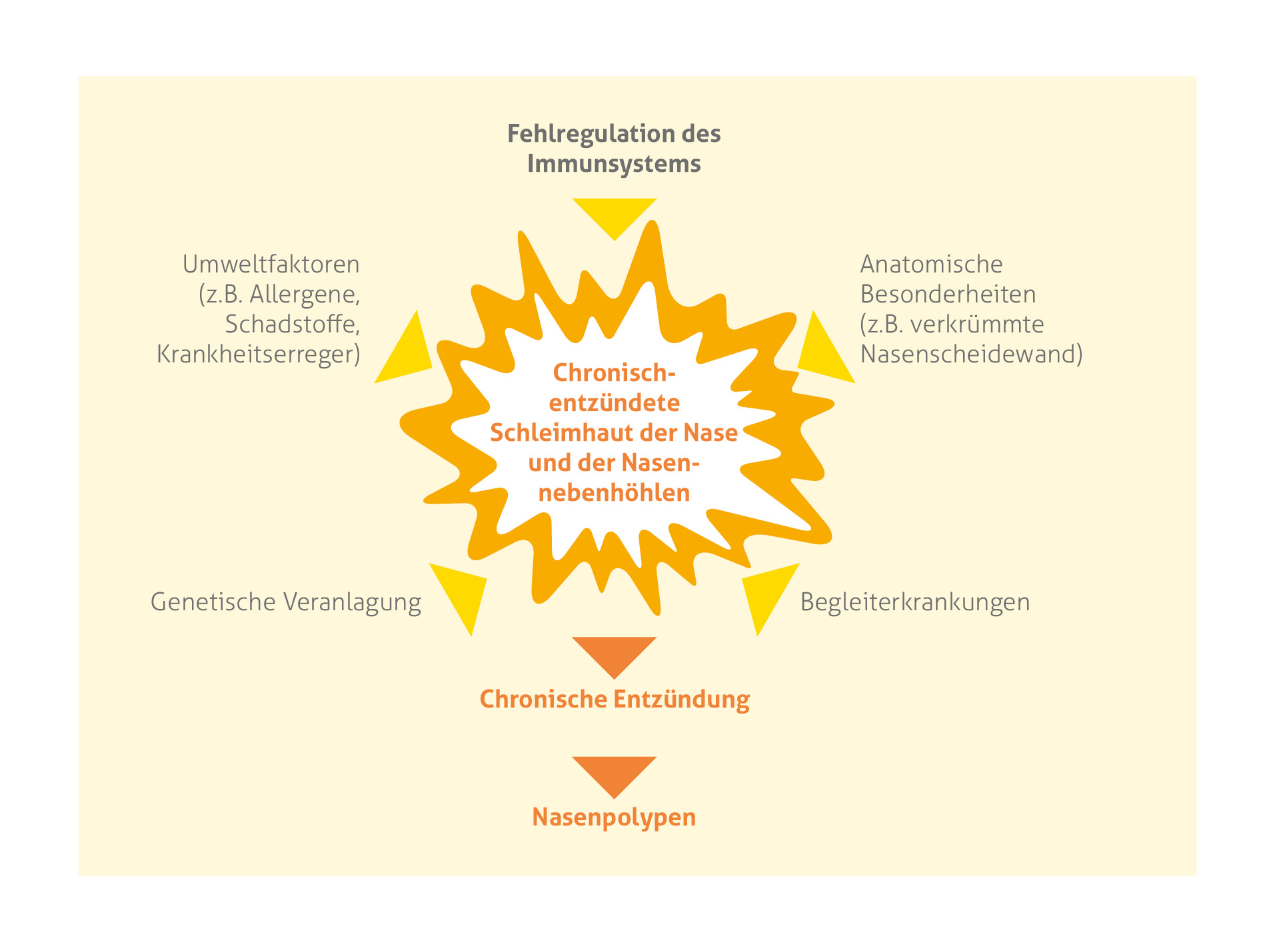 Infografik zu Faktoren, welche zu chronisch entzündeter Schleimhaut der Nase und Nasennebenhöhlen führt (Zentrum der Grafik, orange eingekreist) Hauptüberschrift: "Fehlregulation des Immunsystems" mit darunter angeführten Faktoren: 'Anatomische Besonderheiten (z.B. verkürzte Nasenscheidewand)', 'Begleiterkrankungen','Umweltfaktoren (z.B. Allergene, Schadstoffe, Krankheitserreger)' und 'Genetische Veranlagung'. Diese Faktoren münden schließlich am unteren Ende der Grafik in chronischer Entzündung und Nasenpolypen.