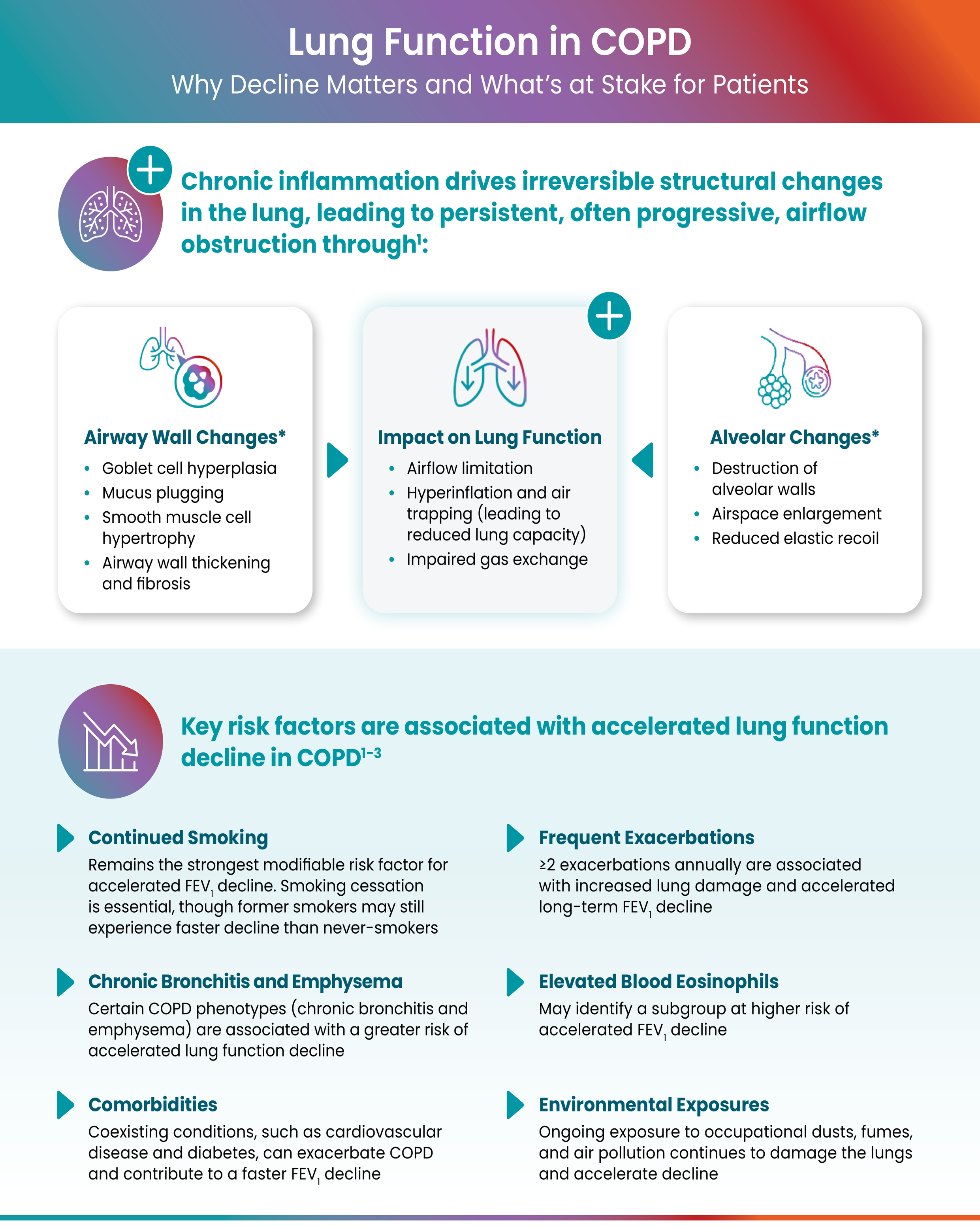 Chronic inflammation drives irreversible structural changes in the lung, leading to persistent, often progressive, airflow obstruction through